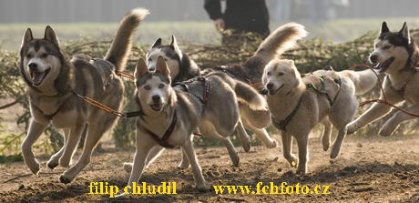 Polsko 2005 - 042.jpg